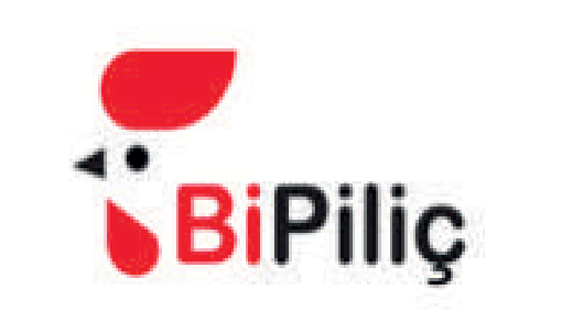 Bi Piliç
